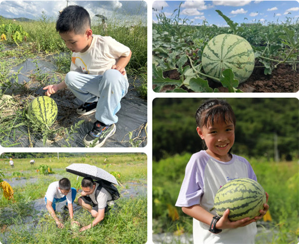 趣游盛夏，一路童行—2024年廣東博皓親子游   -12