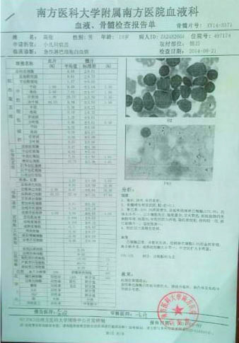 高俊的血液、骨髓檢查報(bào)告單